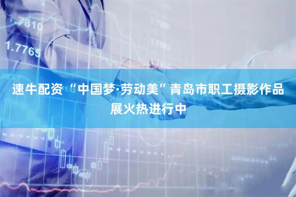 速牛配资 “中国梦·劳动美”青岛市职工摄影作品展火热进行中