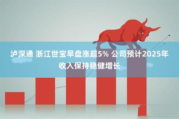 泸深通 浙江世宝早盘涨超5% 公司预计2025年收入保持稳健增长
