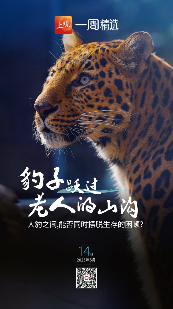 纯旭配资端 豹子跃过老人的山沟