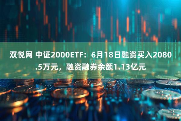 双悦网 中证2000ETF：6月18日融资买入2080.5万元，融资融券余额1.13亿元