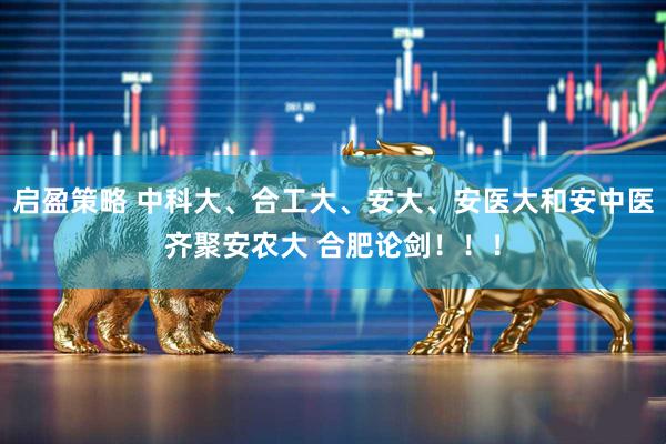 启盈策略 中科大、合工大、安大、安医大和安中医齐聚安农大 合肥论剑！！！