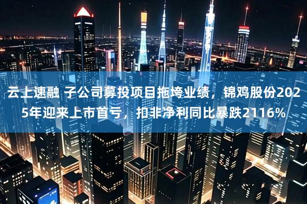 云上速融 子公司募投项目拖垮业绩，锦鸡股份2025年迎来上市首亏，扣非净利同比暴跌2116%